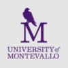 University of Montevallo's logo: University of Montevallo logo