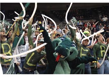crowd cheering at a game with a mascot