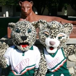 two leopard mascots in ulv shirts sitting by a leopard statue