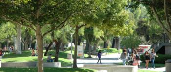 lush campus walkway with students
