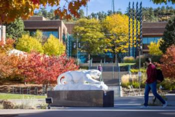 University of Colorado Colorado Springs mascot statue