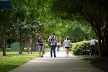 students walking on a tree-lined campus path