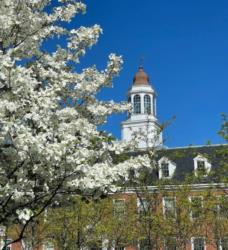 flowering tree with campus building in the background