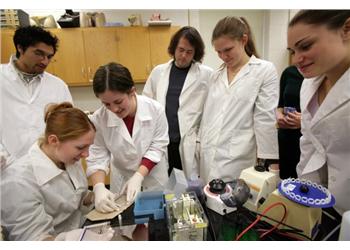 students conducting lab experiment
