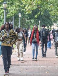 students walking on a tree-lined brick path on campus