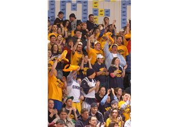 crowd of cheering fans at a sports event