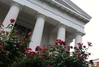 close-up of white columns with red flowers