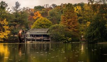 lakefront view of a building amidst autumn foliage