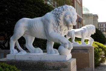 lion statues in front of a building