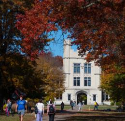 students walking under autumn trees towards an ivy-covered building
