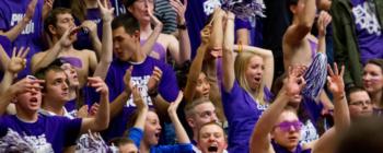 crowd of fans cheering at a sporting event