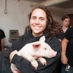 Animal Husbandry lab