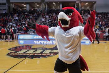 IUP Mascot- Norm.