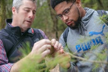 two individuals examining plants outdoors
