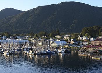 coastal town with marina and forested hills