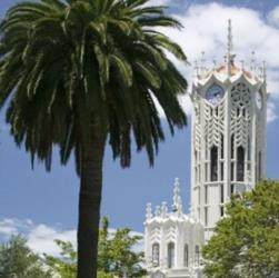 university clock tower beside a tall palm tree