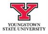 Logo: large red 'y' above 'youngstown state university' in black text